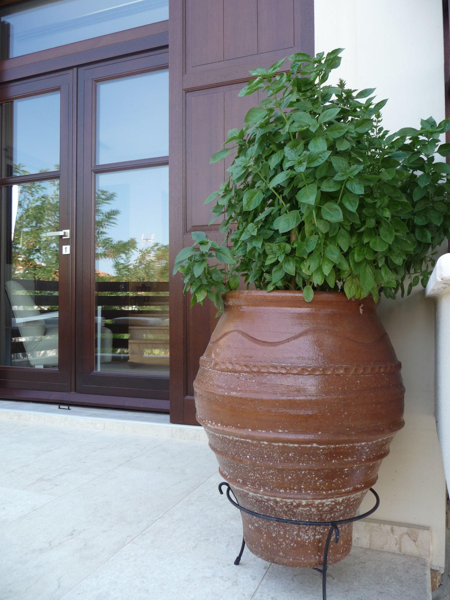 Helianthus Guesthouse Amoliani Bagian luar foto